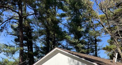 Rainbow's End Resort - Lakefront Cottages – Newly Remodeled with Private Beach