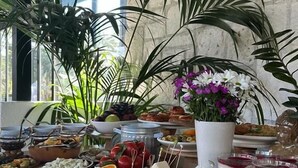 Une table de buffet proposant divers aliments, notamment des fromages, des fruits et un saladier de concombres.