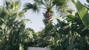 Une terrasse extérieure avec une table ronde et des chaises, entourée d’une végétation tropicale luxuriante et d’un palmier.
