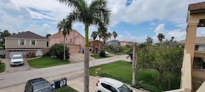 Stroll through a charming neighborhood with single-family homes, each with a front yard and driveway, surrounded by palm trees.