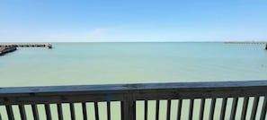 Property grounds - Bungalow Tarvana #2 (Port Isabel)
