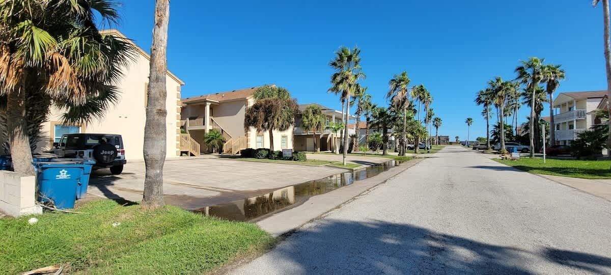 Rua residencial com palmeiras, casas e um Jeep estacionado na lateral.