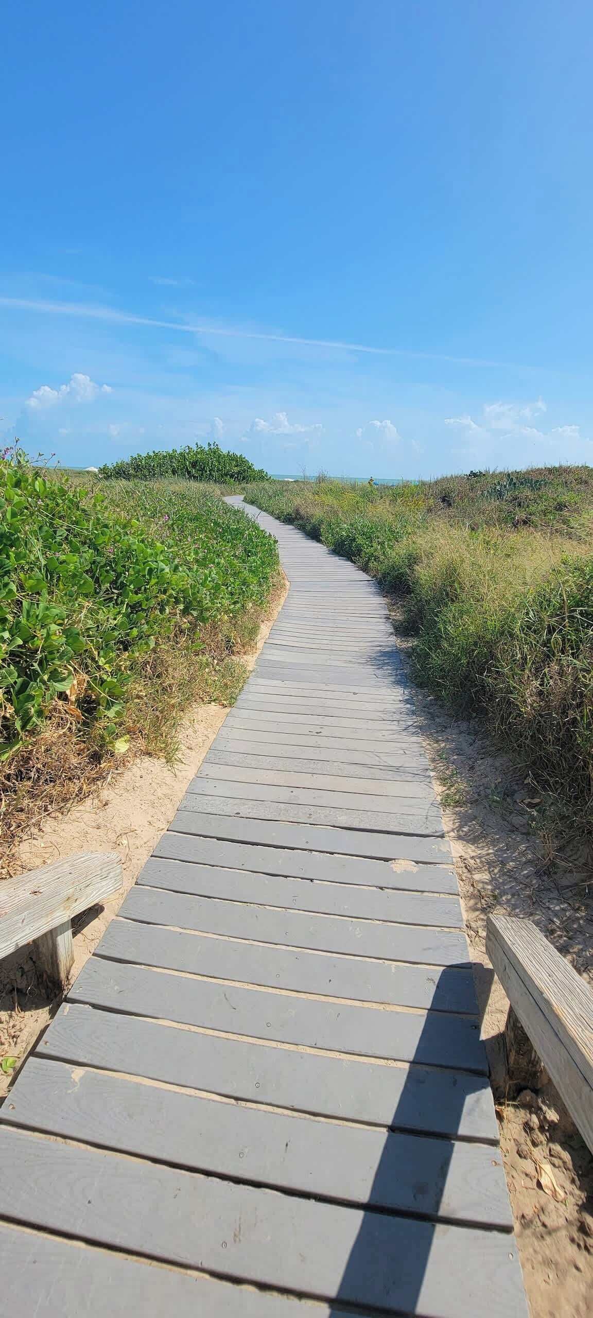 Un pasarelas de madera que serpentea por una zona natural, bordeada por abundante vegetación a ambos lados.