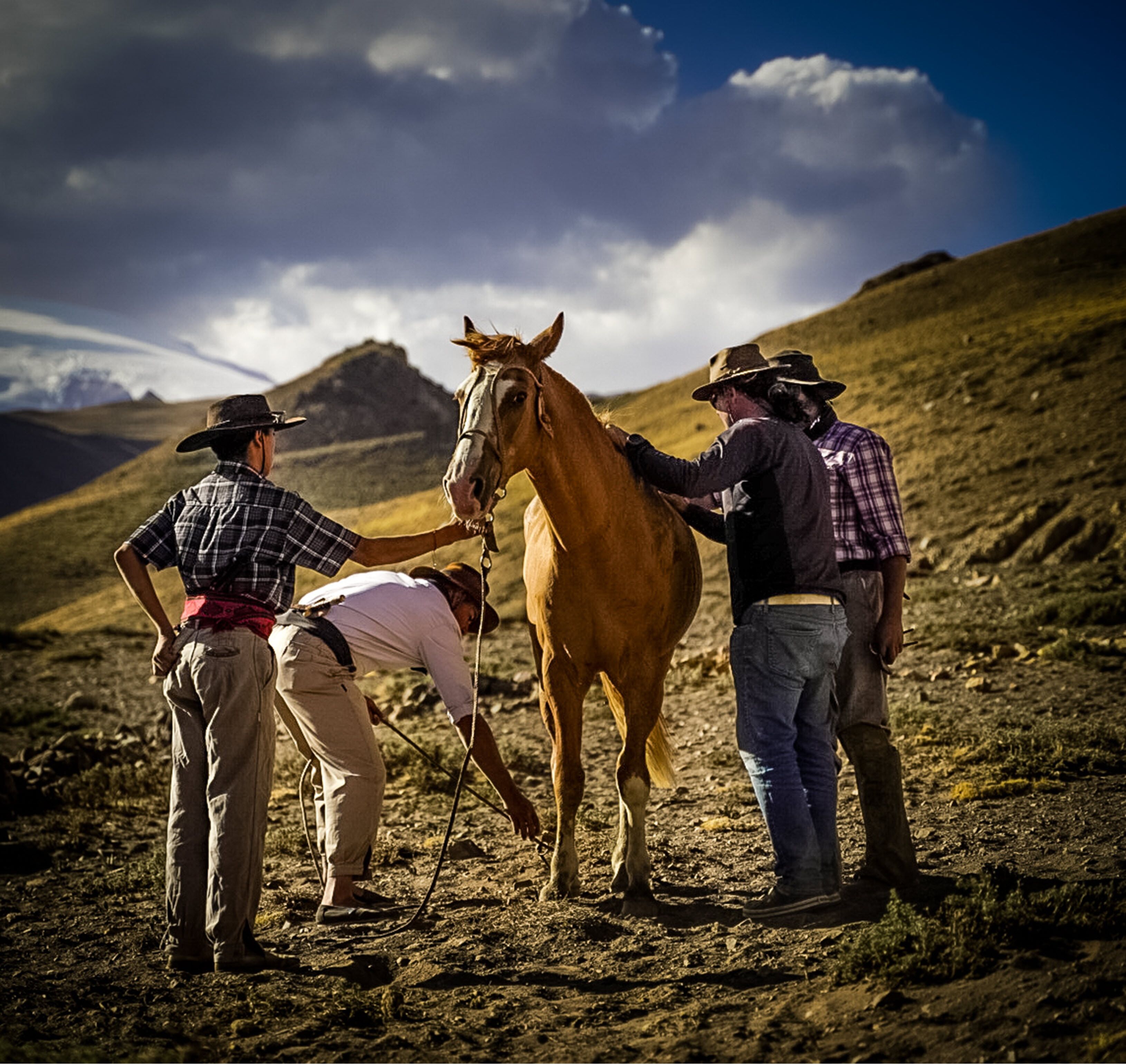 Drei Personen interagieren mit einem Pferd auf unbefestigtem Boden vor einer Bergkulisse.
