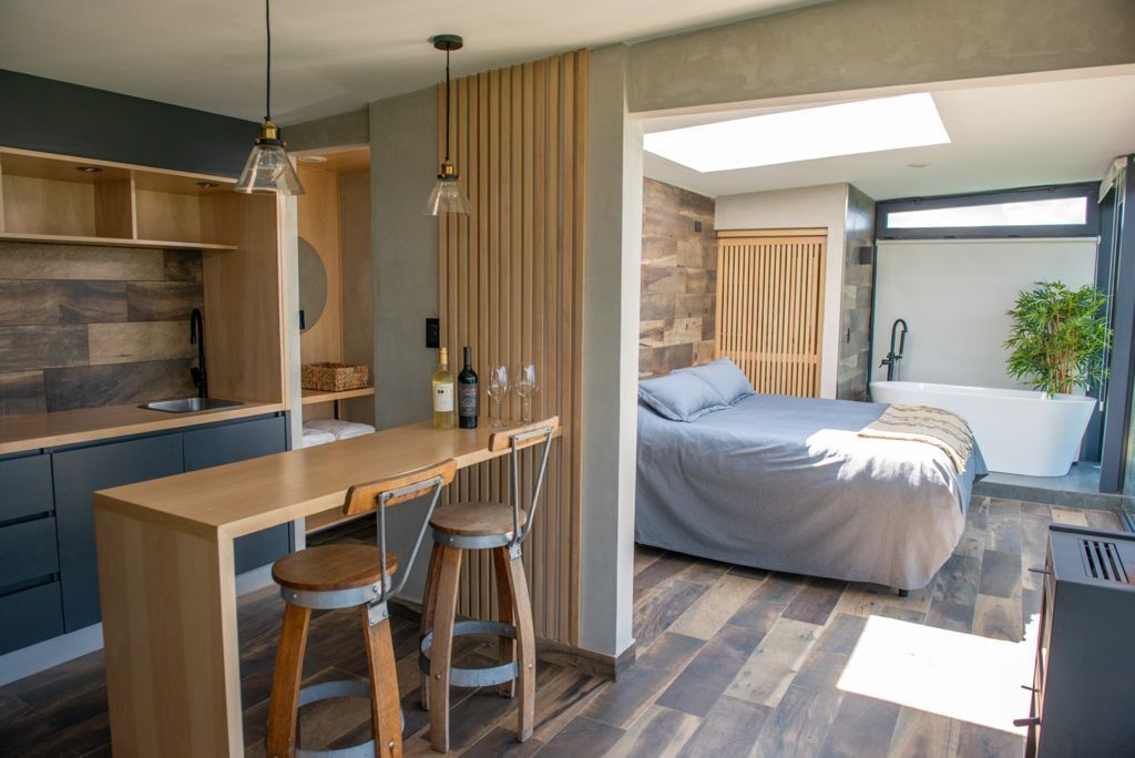 Una habitación compacta con kitchenette, una cama, una bañera y una planta en maceta.