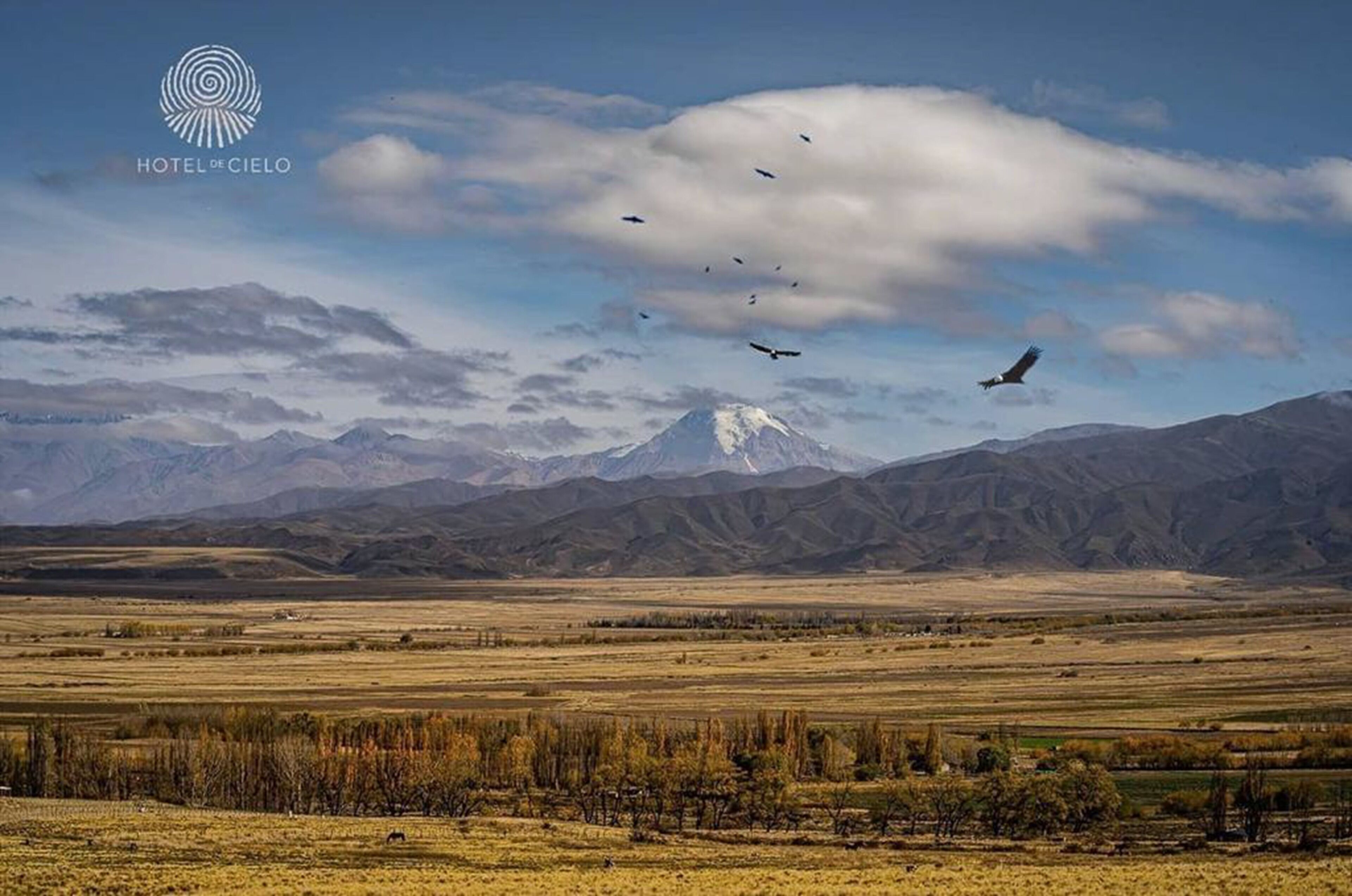 Un vaste paysage dominé par une montagne imposante à l’arrière-plan, un ciel dégagé et un vol d’oiseaux.