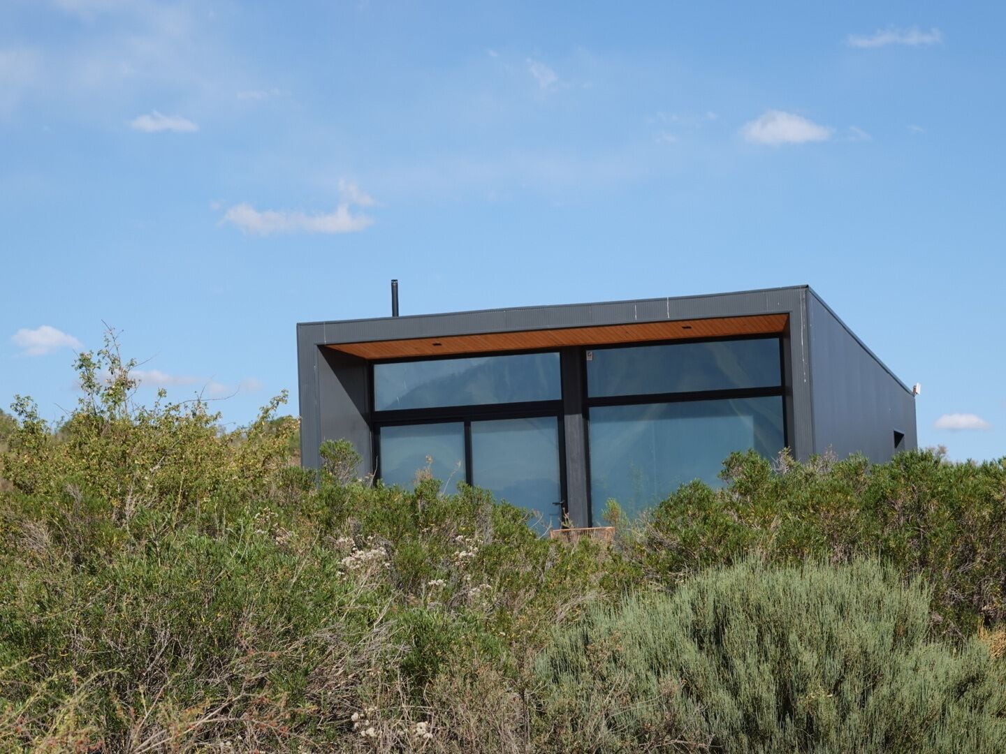 A modern building with large windows and a flat roof, surrounded by dense shrubbery.