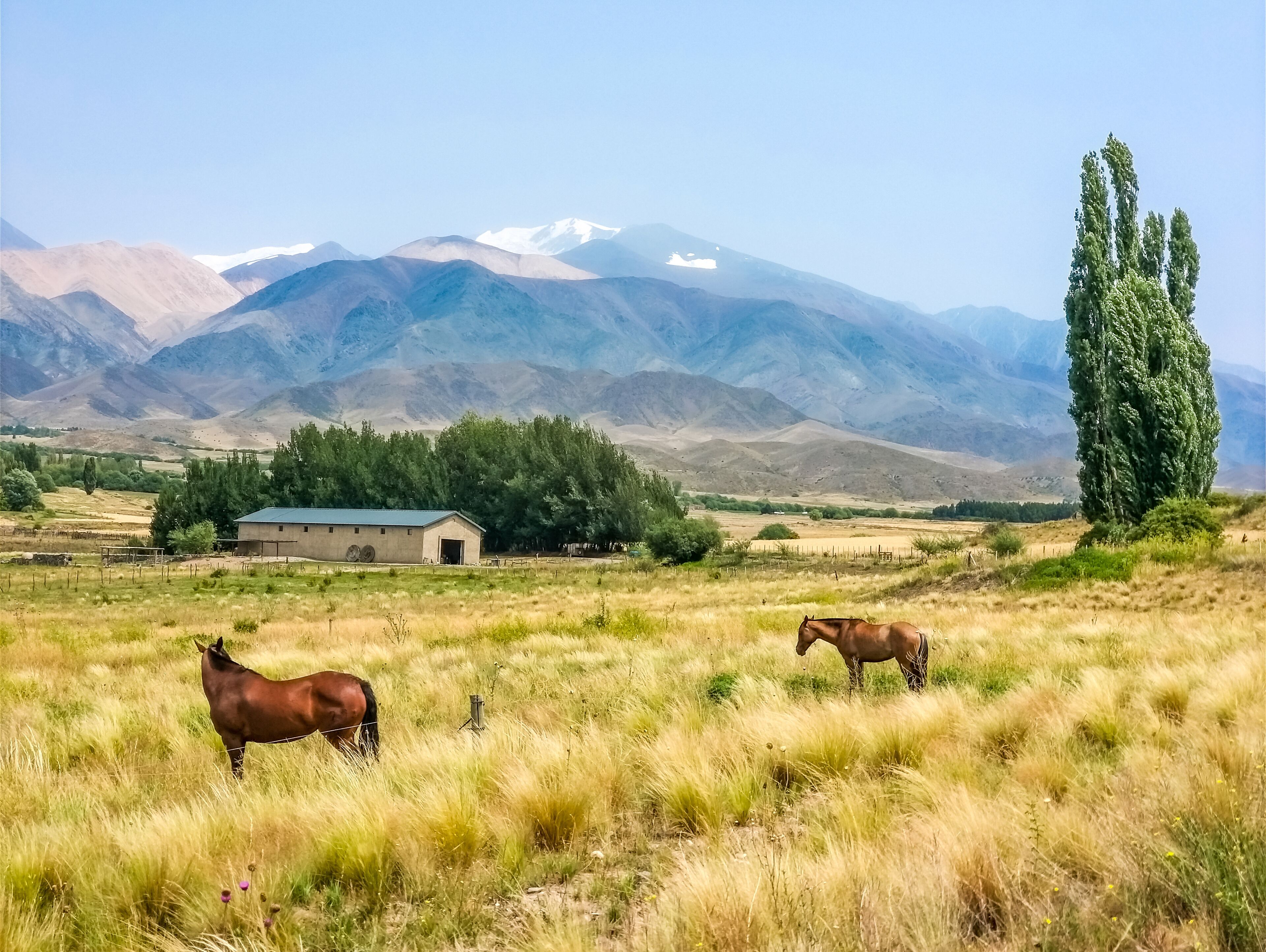 Paisaje rural con dos caballos pastando en un campo, un granero y una cadena montañosa al fondo.