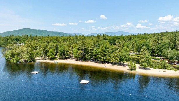A lakeside property with a sandy beach, dense forest, and a boat dock.