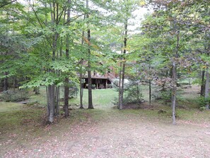 Un chalet rustique entouré d’une forêt dense.