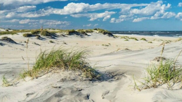 En sandstrand med sanddyner och gräs i förgrunden, som sträcker sig ner mot havet under en delvis molnig himmel.