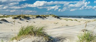 New Studio Charming cottage close to the beach & woods in Kill Devil Hills, NC. 