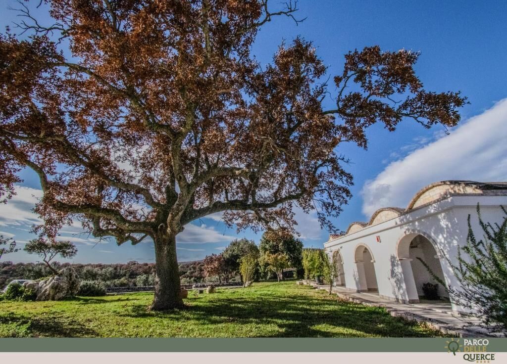 A large tree in front of a white building with arches.
