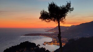 Eine Küstenlandschaft bei Sonnenuntergang mit einer markanten Baumsilhouette, Blick auf das Meer und einer entfernten Stadtansicht.