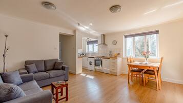 Apartment | Living room | 50-inch TV with cable channels, fireplace