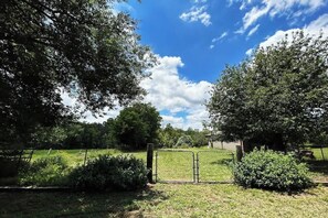 المنطقة المحيطة بالمنشأة