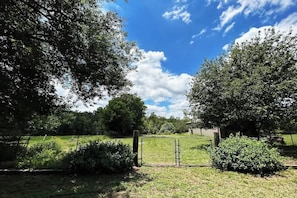 A fenced outdoor area with trees and a clear sky.