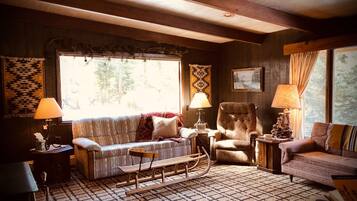 Télévision, cheminée, lecteur de DVD, livres