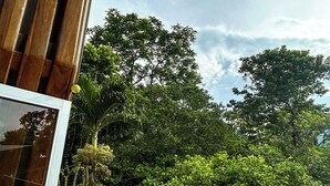 Un bâtiment en bois doté d’une porte en verre, entouré d’une végétation luxuriante et d’arbres.