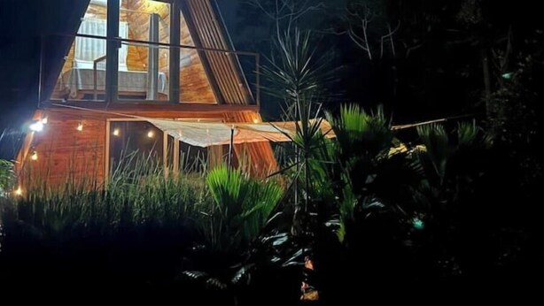 Une cabane moderne, de forme triangulaire, dotée de grandes fenêtres et entourée d’herbes hautes et d’arbres.