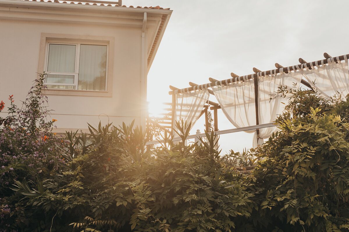A building with a window and a balcony with birds.