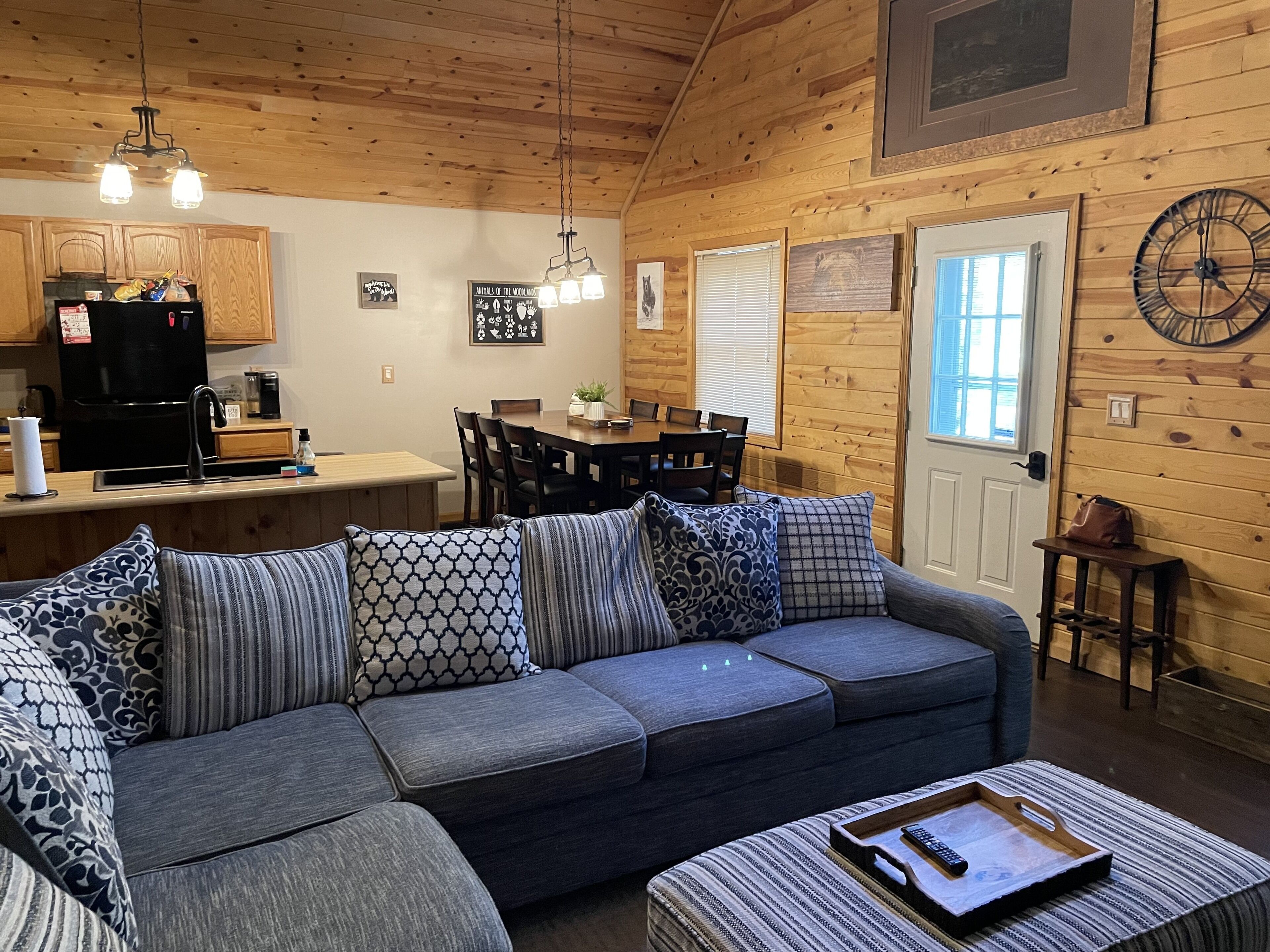 TV connectée, cheminée, livres