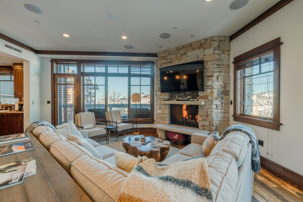 Smart TV, chimenea, reproductor de DVD y libros 