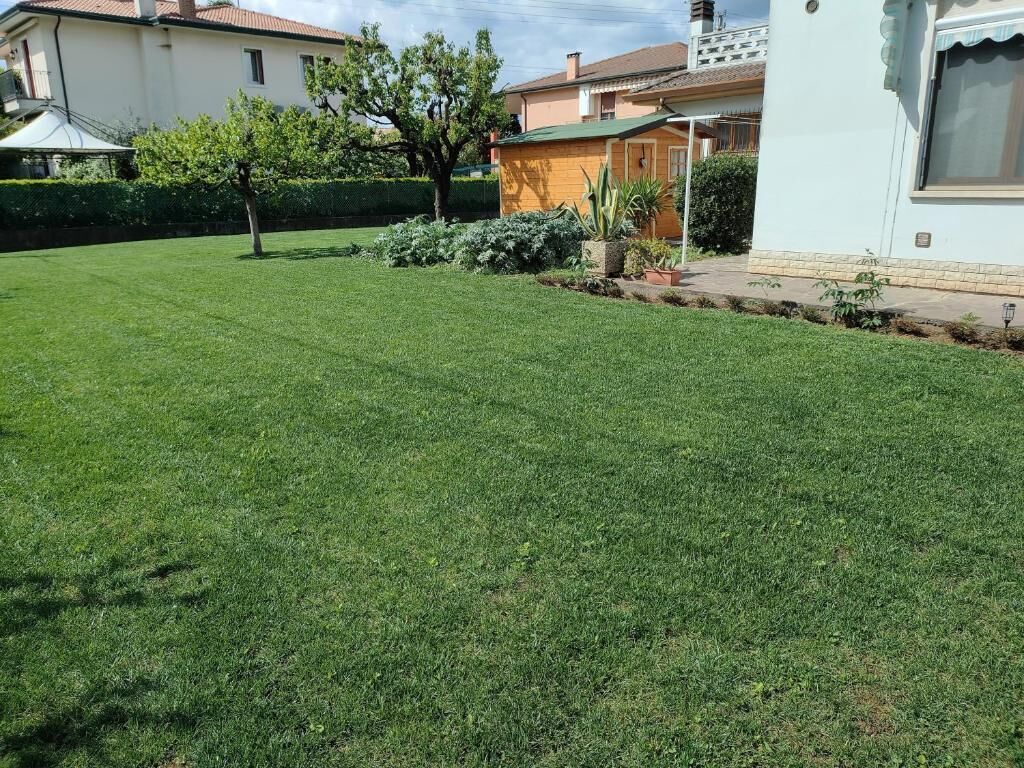 A well-maintained lawn with a few trees and a small garden area.