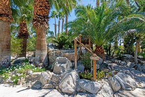 Property grounds - The Grotto- 5bd/4ba-Waterfalls-Pool-Spa-Games Room-Secluded Acreage (Desert Hot Springs)