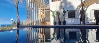 Villa Ortensia infinity pool sea view