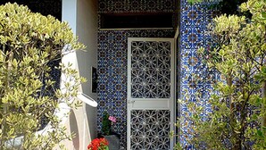 A courtyard with a tiled wall, a door, and potted plants.