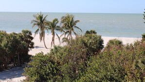 Une plage bordée de palmiers, offrant une vue dégagée sur l’océan.