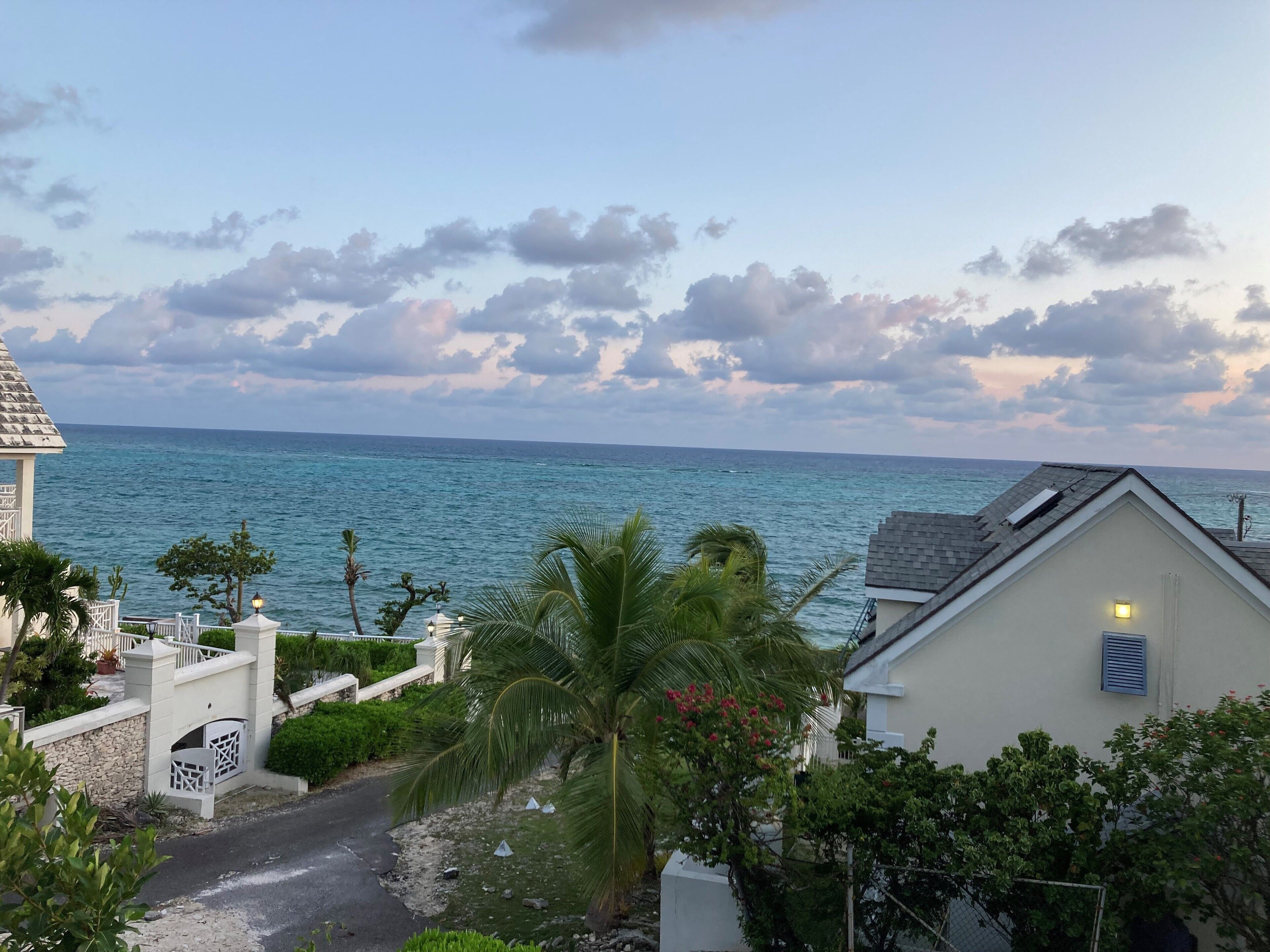 A coastal view with a clear sky, a pathway leading to a white building, and a palm tree in the foreground.