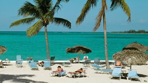 Una playa con palmeras, sillas de descanso y sombrillas de paja.