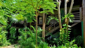 A lush indoor garden with a variety of tropical plants, a concrete pathway, and a staircase leading to an upper level. - Villa Valencia (Jijoca de Jericoacoara)