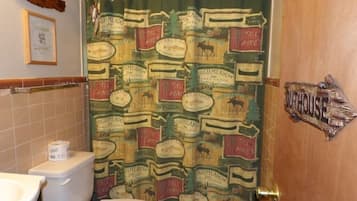 Combined shower/tub, hair dryer, towels, soap