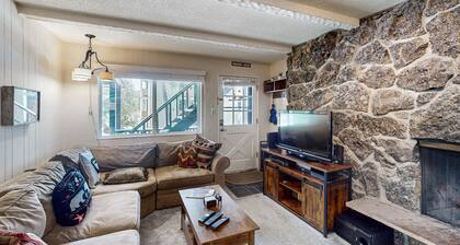 Dog-friendly condo near the slopes with W/D - pool, hot tub & volleyball