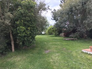 Le jardin vu de la terrasse et de la salle de séjour