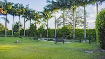 Un parque con un estanque, bancos y altas palmeras.