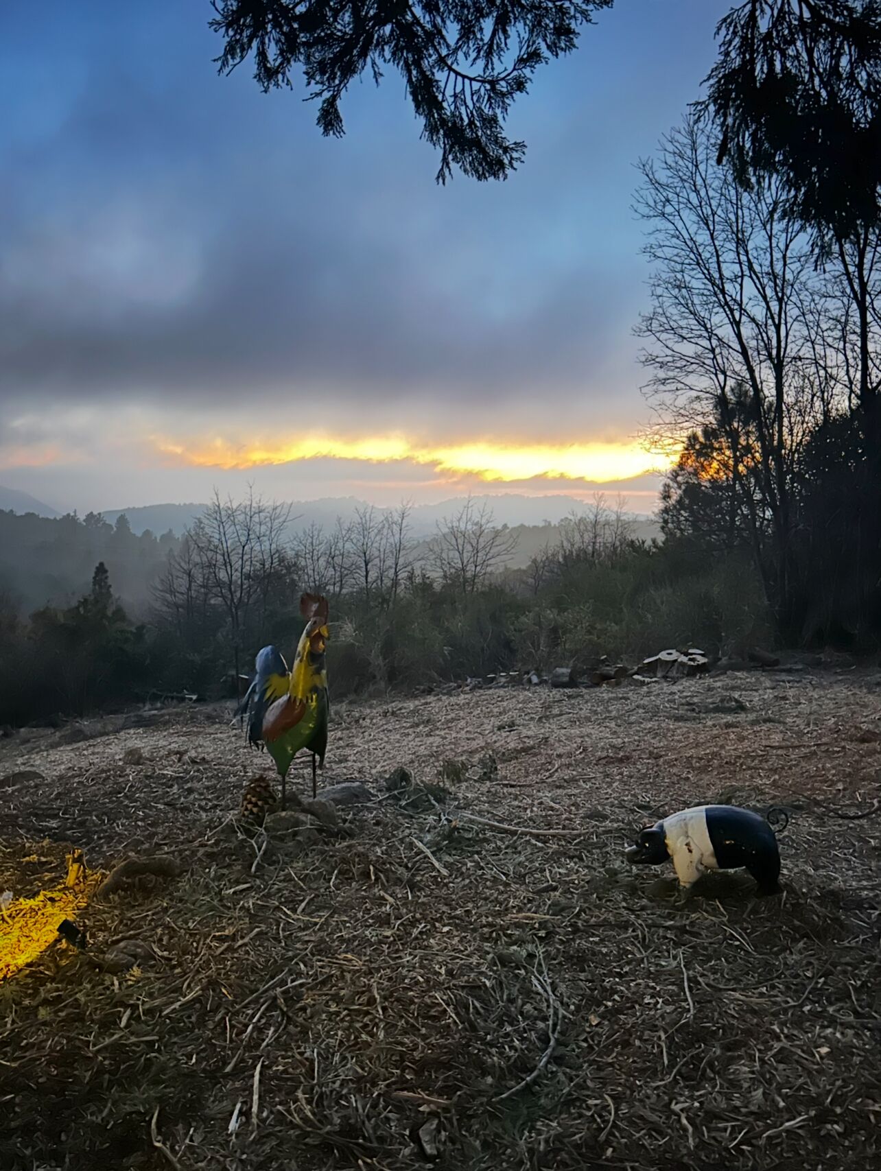 Un paysage naturel avec un coucher de soleil en arrière-plan, un oiseau en vol et un objet tombé au sol.