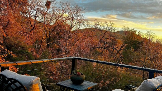 Une terrasse avec deux chaises et une table, donnant sur une zone boisée aux couleurs automnales.