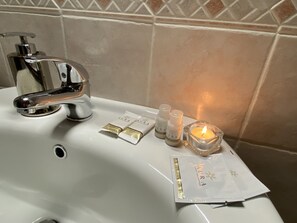 Combined shower/tub, hair dryer, bidet, towels