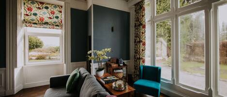 Smart TV, fireplace, books