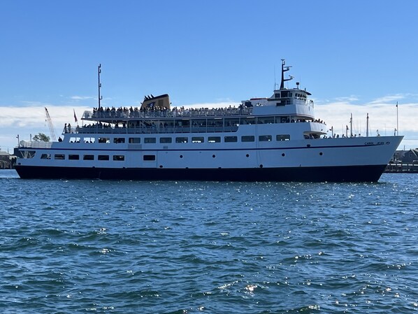 Un gran ferry de varias cubiertas, con una cubierta superior destacada y una cubierta inferior más pequeña, navegando sobre aguas tranquilas.