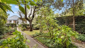 A garden with a pathway leading to a house, surrounded by various plants and trees. - ‘Star Cottage’ historic, cosy and walking distance to CBD/Salamanca (Sandy Bay)