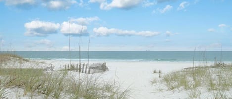 Playa en los alrededores