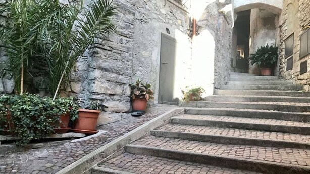A narrow stone staircase leading to an entrance, surrounded by potted plants and a rustic stone wall. - Cà Milla Argegno apartment (Argegno)