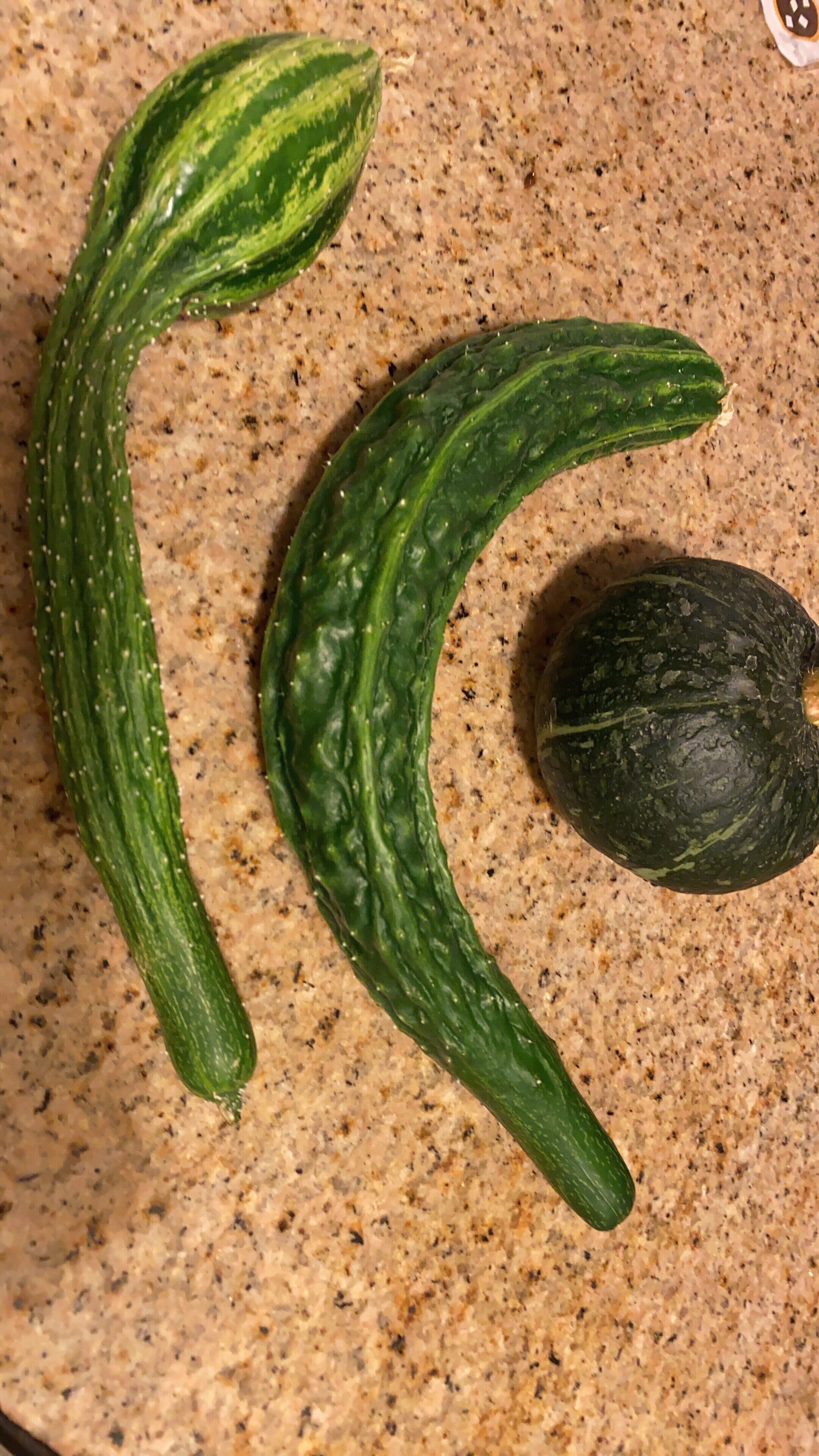 Trois courgettes sur un plan de travail à motifs.