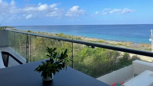 A balcony with a view of the sea and beach.