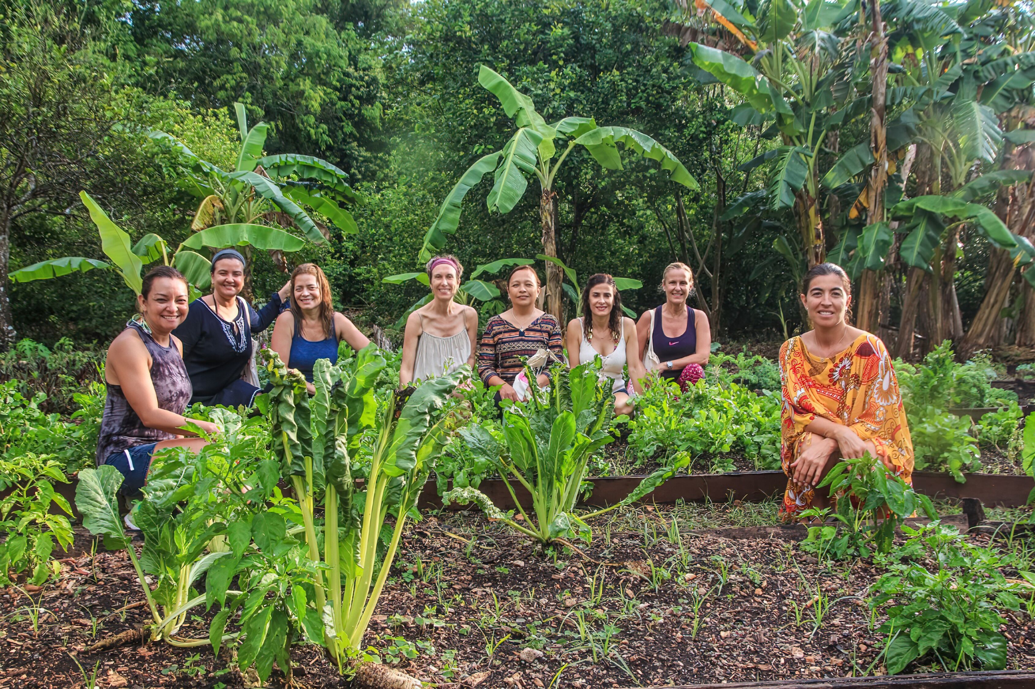Un groupe de personnes est assis dans un jardin, avec différentes plantes et arbres en arrière-plan.